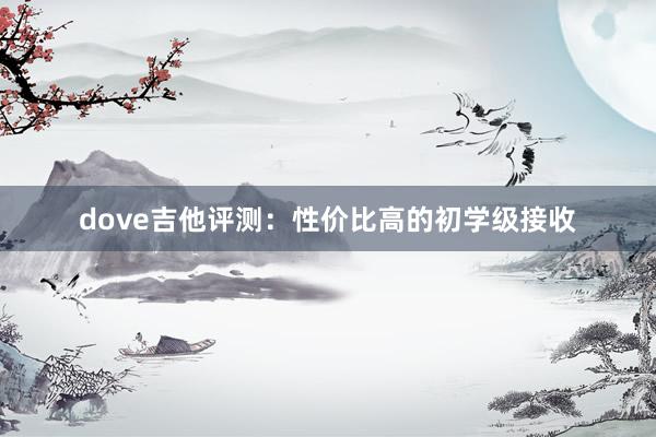 dove吉他评测：性价比高的初学级接收